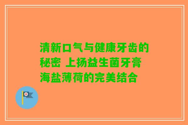 清新口气与健康牙齿的秘密 上扬益生菌牙膏海盐薄荷的完美结合