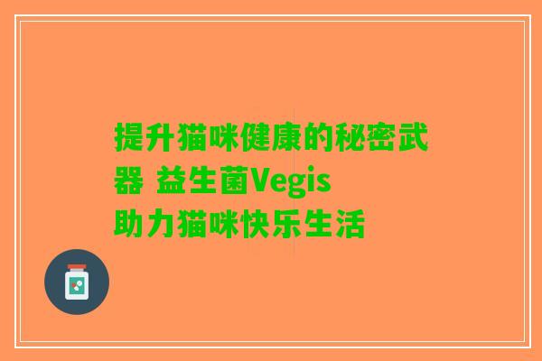 提升猫咪健康的秘密武器 益生菌Vegis助力猫咪快乐生活