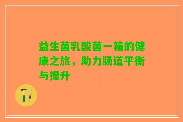 益生菌乳酸菌一箱的健康之旅，助力肠道平衡与提升
