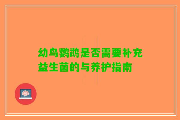 幼鸟鹦鹉是否需要补充益生菌的与养护指南