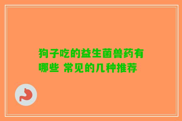 狗子吃的益生菌兽药有哪些 常见的几种推荐