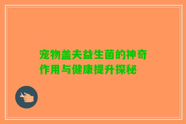 宠物盖夫益生菌的神奇作用与健康提升探秘