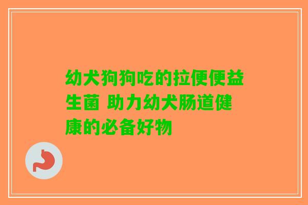 幼犬狗狗吃的拉便便益生菌 助力幼犬肠道健康的必备好物