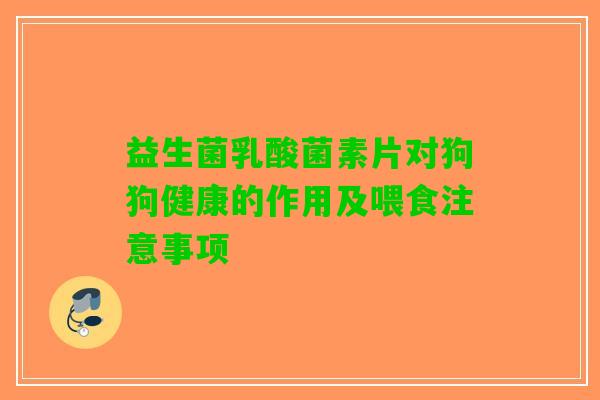 益生菌乳酸菌素片对狗狗健康的作用及喂食注意事项