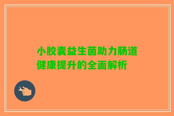 小胶囊益生菌助力肠道健康提升的全面解析 小胶囊益生菌助力肠道健康提升的全面解析