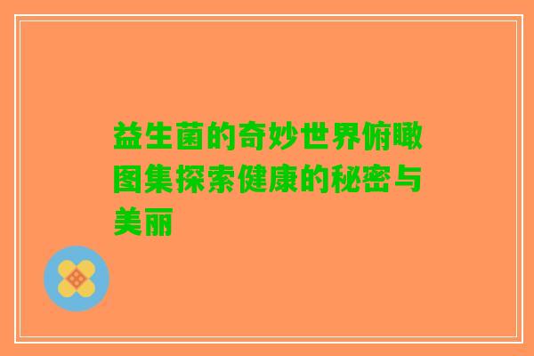 益生菌的奇妙世界俯瞰图集探索健康的秘密与美丽 益生菌的奇妙世界俯瞰图集探索健康的秘密与美丽
