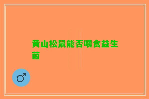 黄山松鼠能否喂食益生菌