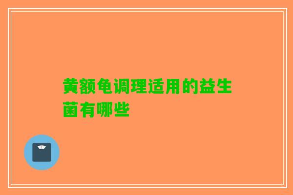 黄额龟调理适用的益生菌有哪些