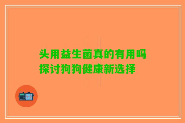 头用益生菌真的有用吗探讨狗狗健康新选择