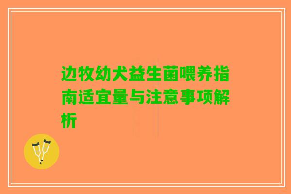 边牧幼犬益生菌喂养指南适宜量与注意事项解析