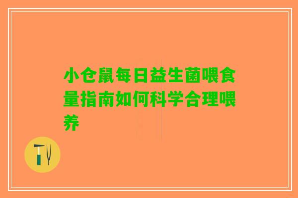小仓鼠每日益生菌喂食量指南如何科学合理喂养