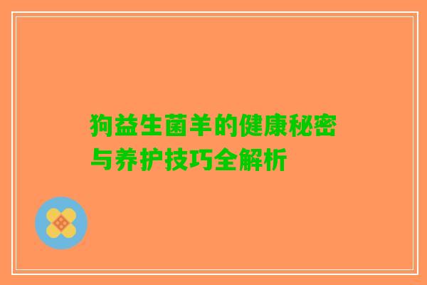狗益生菌羊的健康秘密与养护技巧全解析