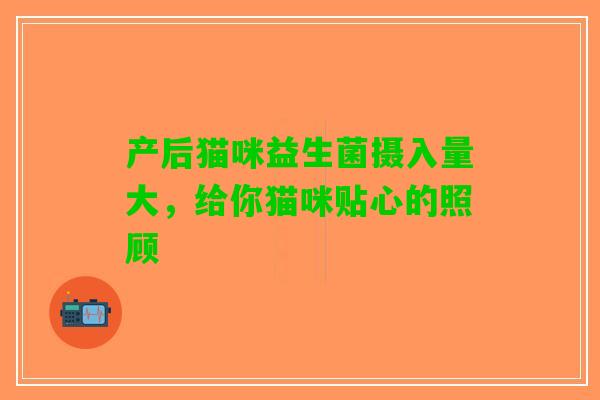产后猫咪益生菌摄入量大，给你猫咪贴心的照顾