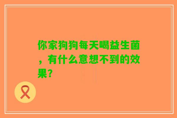你家狗狗每天喝益生菌，有什么意想不到的效果？