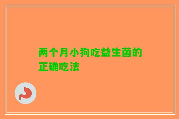 两个月小狗吃益生菌的正确吃法
