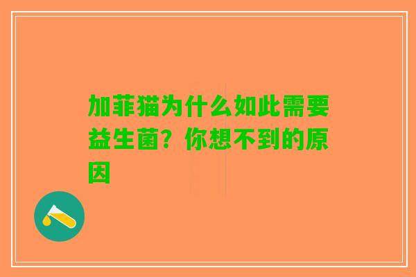 加菲猫为什么如此需要益生菌？你想不到的原因