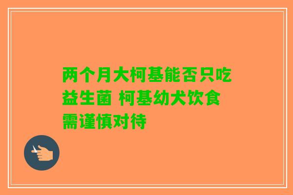 两个月大柯基能否只吃益生菌 柯基幼犬饮食需谨慎对待