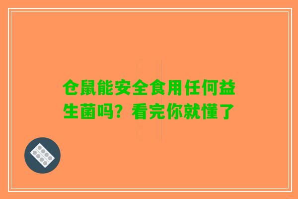 仓鼠能安全食用任何益生菌吗？看完你就懂了