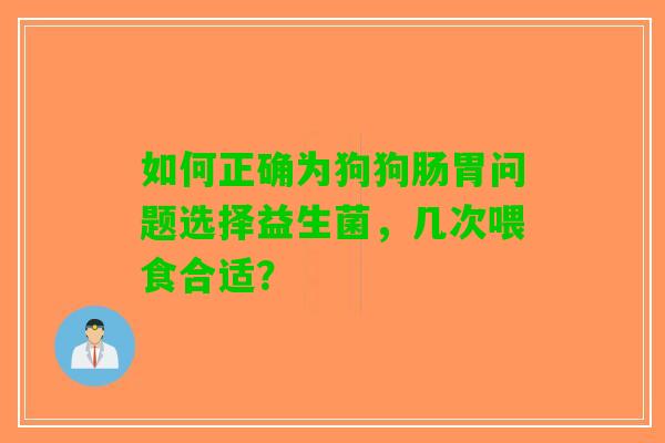 如何正确为狗狗肠胃问题选择益生菌，几次喂食合适？