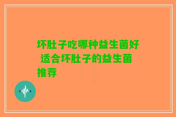 坏肚子吃哪种益生菌好 适合坏肚子的益生菌推荐
