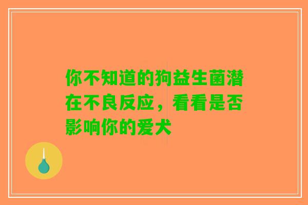 你不知道的狗益生菌潜在不良反应，看看是否影响你的爱犬