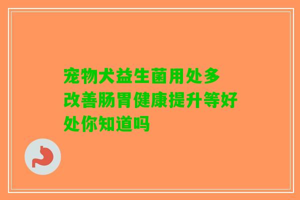 宠物犬益生菌用处多 改善肠胃健康提升等好处你知道吗