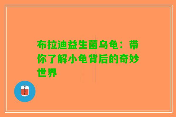 布拉迪益生菌乌龟：带你了解小龟背后的奇妙世界