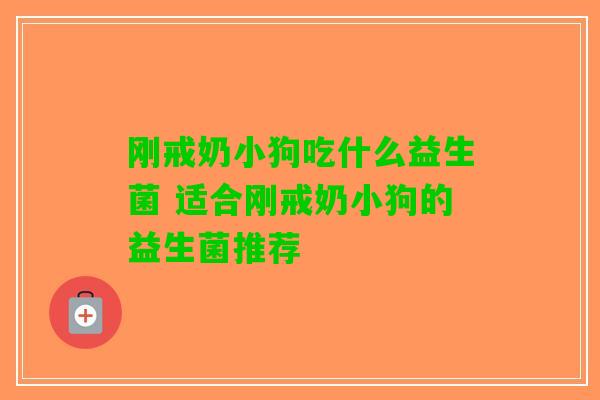 刚戒奶小狗吃什么益生菌 适合刚戒奶小狗的益生菌推荐