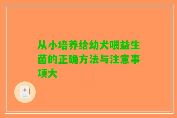 从小培养给幼犬喂益生菌的正确方法与注意事项大