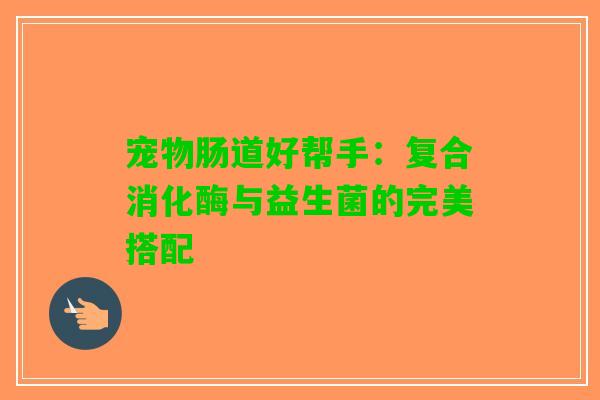 宠物肠道好帮手：复合消化酶与益生菌的完美搭配