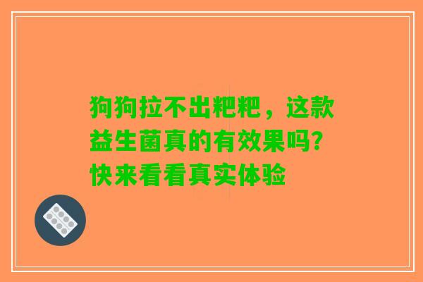 狗狗拉不出粑粑，这款益生菌真的有效果吗？快来看看真实体验