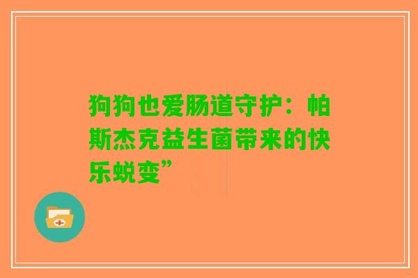 狗狗也爱肠道守护：帕斯杰克益生菌带来的快乐蜕变”