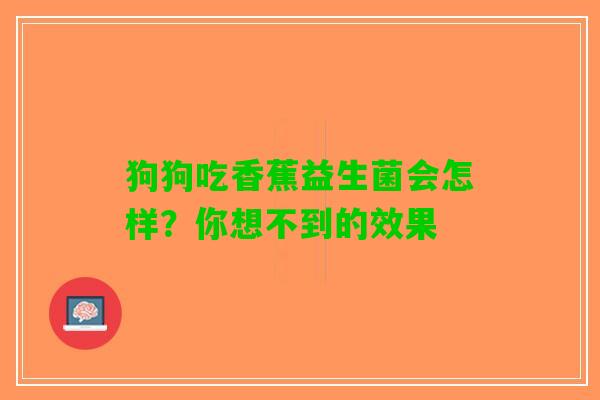 狗狗吃香蕉益生菌会怎样？你想不到的效果