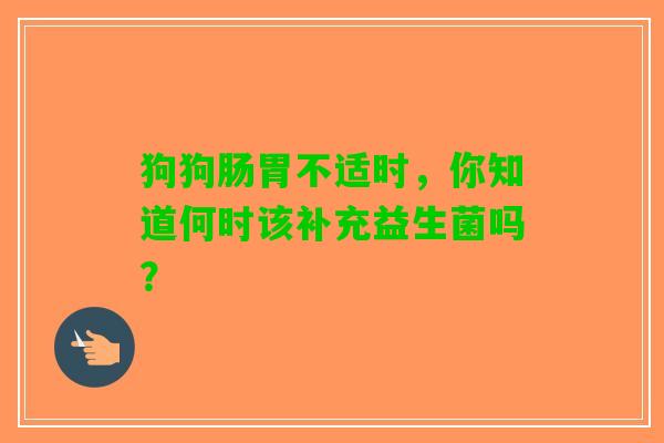 狗狗肠胃不适时，你知道何时该补充益生菌吗？