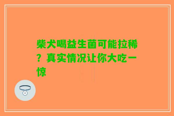 柴犬喝益生菌可能拉稀？真实情况让你大吃一惊