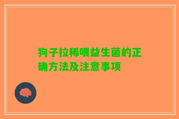 狗子拉稀喂益生菌的正确方法及注意事项