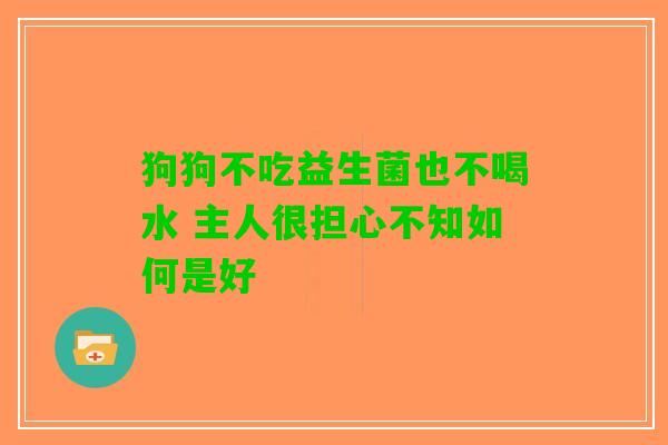 狗狗不吃益生菌也不喝水 主人很担心不知如何是好