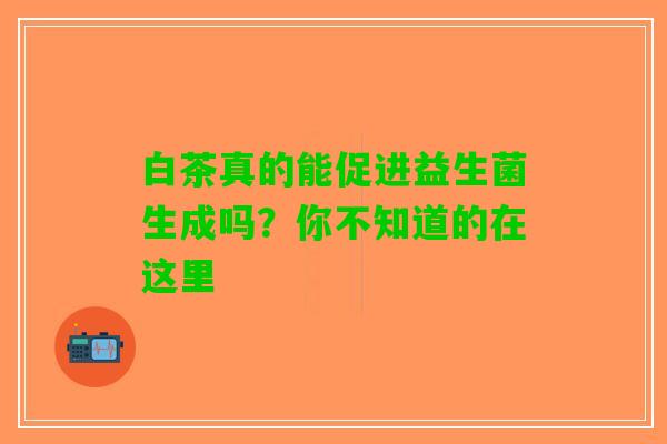 白茶真的能促进益生菌生成吗？你不知道的在这里