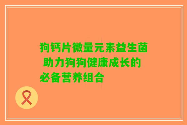 狗钙片微量元素益生菌 助力狗狗健康成长的必备营养组合
