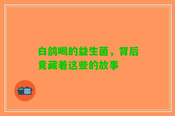 白鸽喝的益生菌，背后竟藏着这些的故事