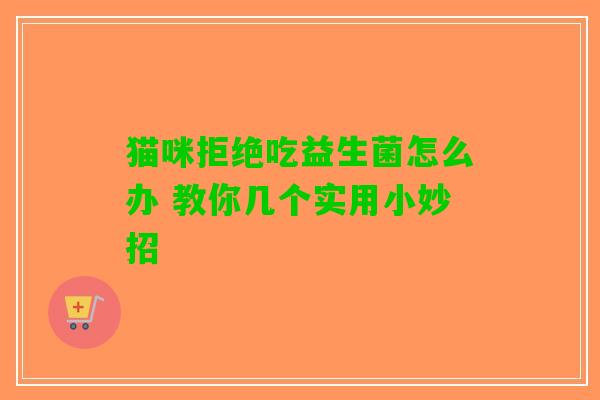 猫咪拒绝吃益生菌怎么办 教你几个实用小妙招