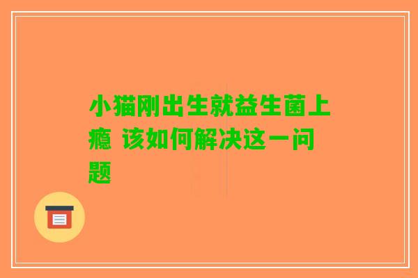 小猫刚出生就益生菌上瘾 该如何解决这一问题