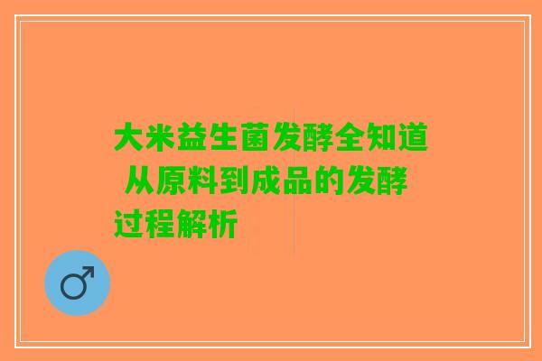 大米益生菌发酵全知道 从原料到成品的发酵过程解析