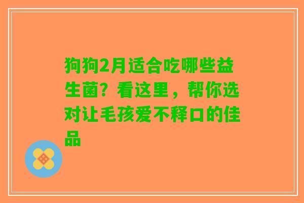 狗狗2月适合吃哪些益生菌？看这里，帮你选对让毛孩爱不释口的佳品