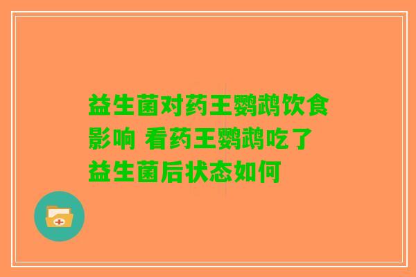 益生菌对药王鹦鹉饮食影响 看药王鹦鹉吃了益生菌后状态如何