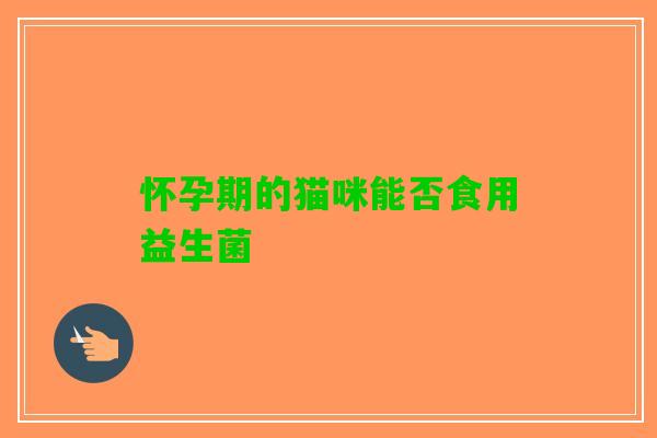 怀孕期的猫咪能否食用益生菌