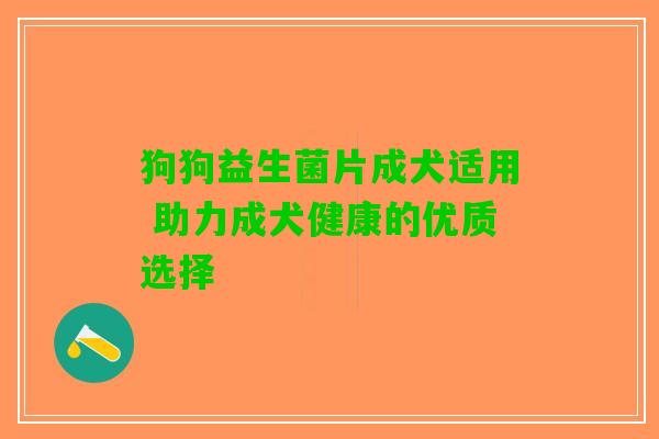 狗狗益生菌片成犬适用 助力成犬健康的优质选择