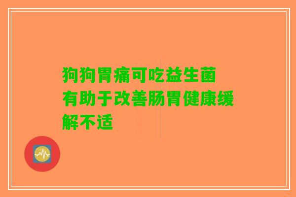 狗狗胃痛可吃益生菌 有助于改善肠胃健康缓解不适
