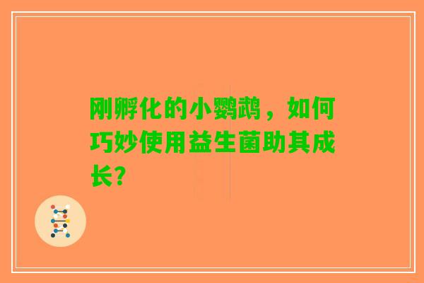 刚孵化的小鹦鹉，如何巧妙使用益生菌助其成长？