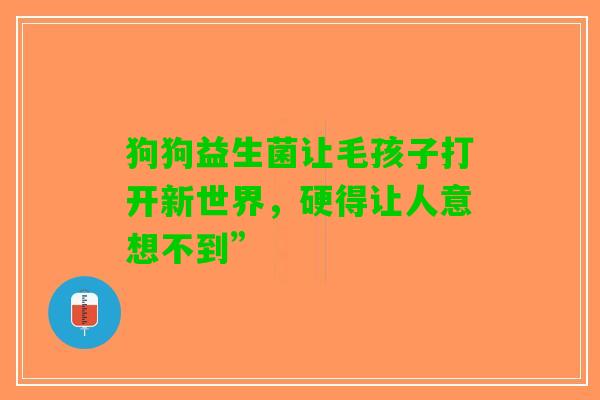 狗狗益生菌让毛孩子打开新世界，硬得让人意想不到”